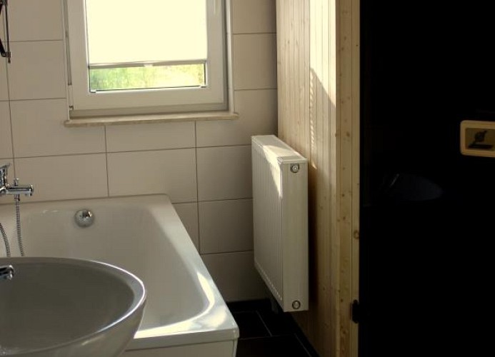 modernes Tageslicht-Bad mit Sauna & Badewanne