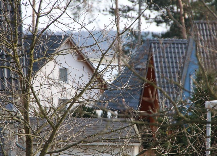 Aussicht vom Balkon